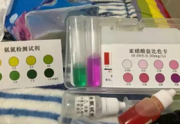 警惕！螃蟹突然不吃料，趴邊上草甚至蛻殼不遂？請(qǐng)留意氨氮、亞硝酸鹽含量！