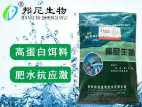 濾餌金肽