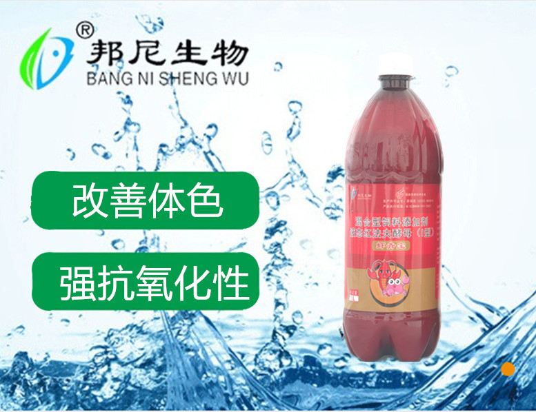 蝦青寶
