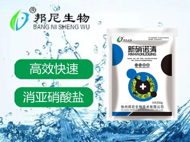 新硝諾清