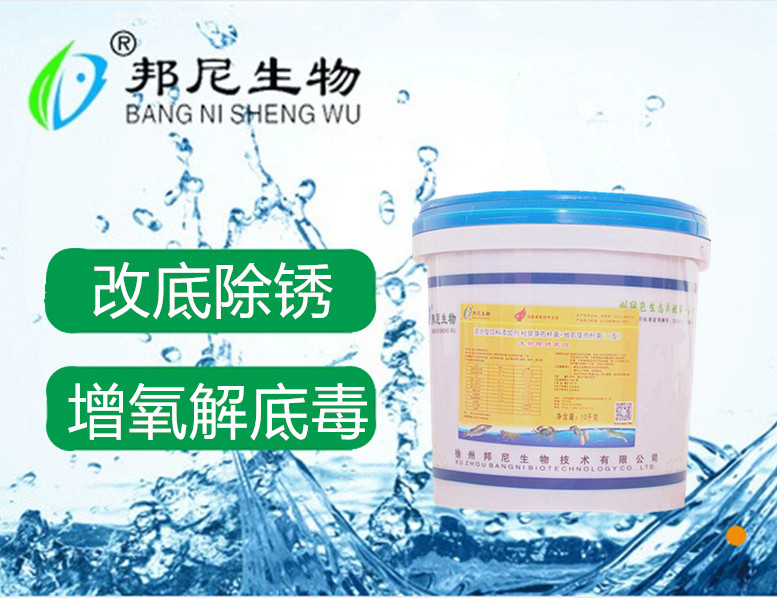 生物除銹底改