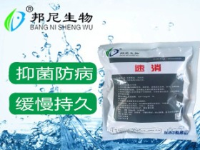 速消（二氧化氯泡騰片）