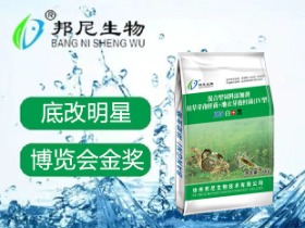 底凈白加黑