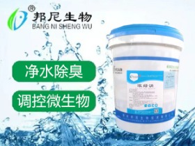 濃綠消
