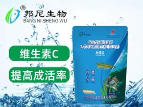 應(yīng)激靈